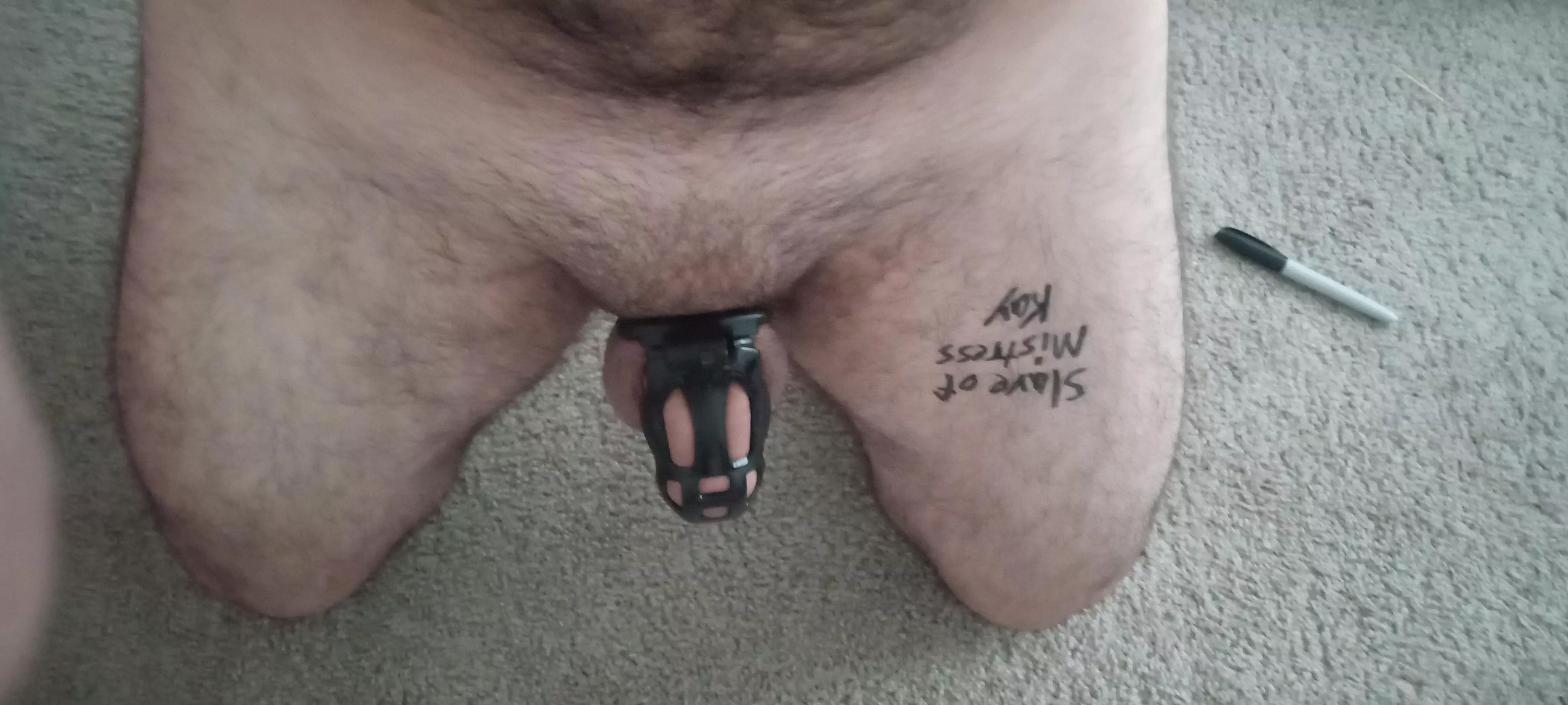 Slave humiliation posting posted by screamingorca15