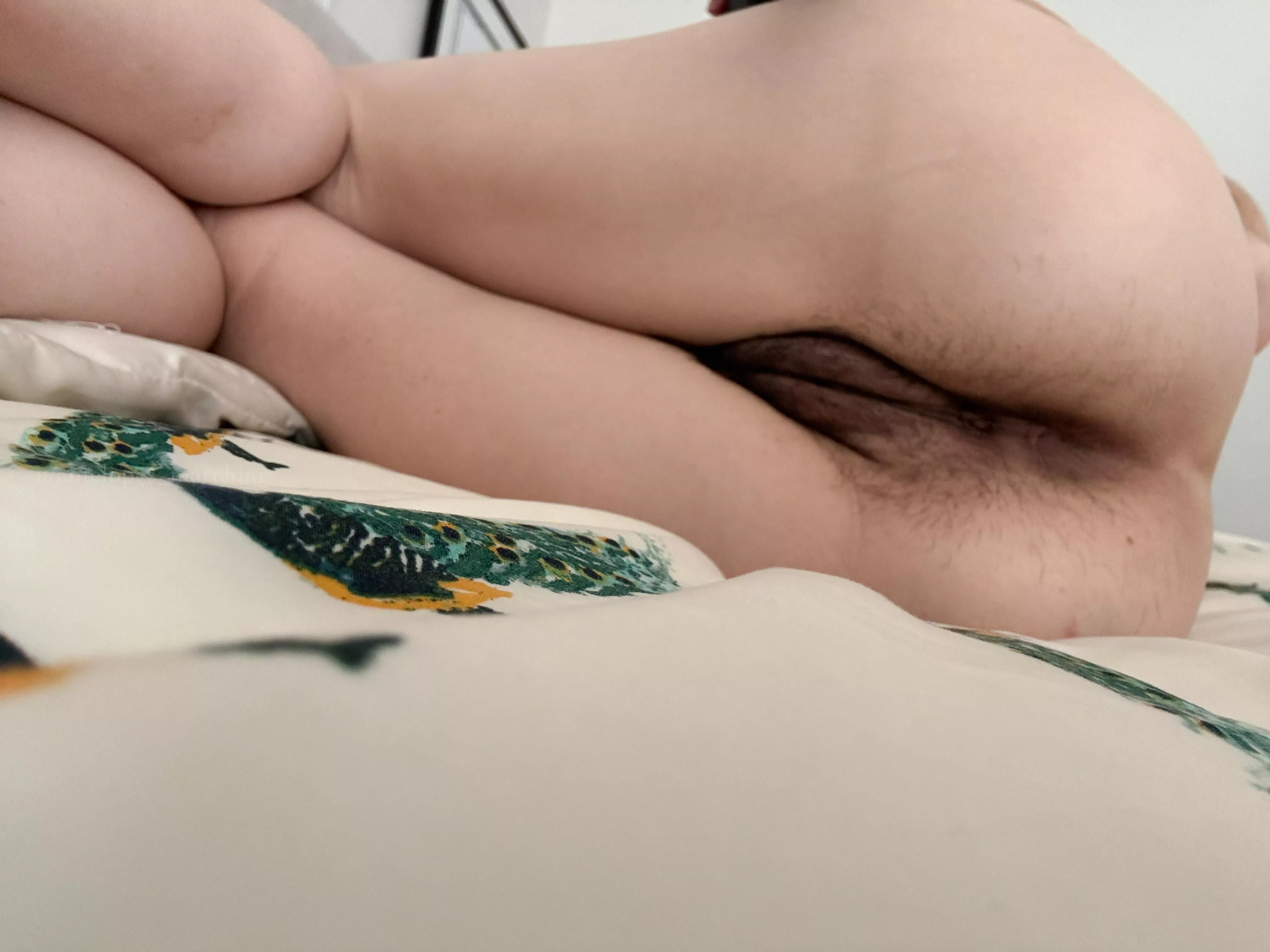 Soft and fuzzy [h] posted by antelopes_marching