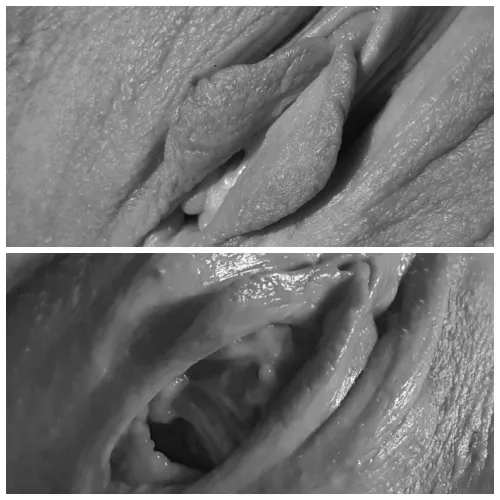 Stages by funbunnycouple