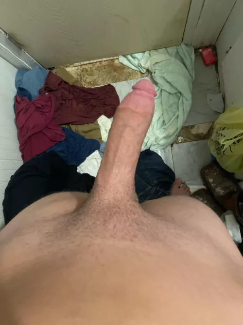 You love this fat cock 19 by hornybiguy453