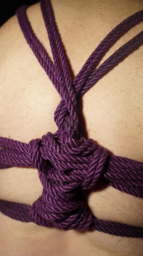 Compressed stem, working to memorize the weavings on Butterfly Harness by mistressjenniferhex