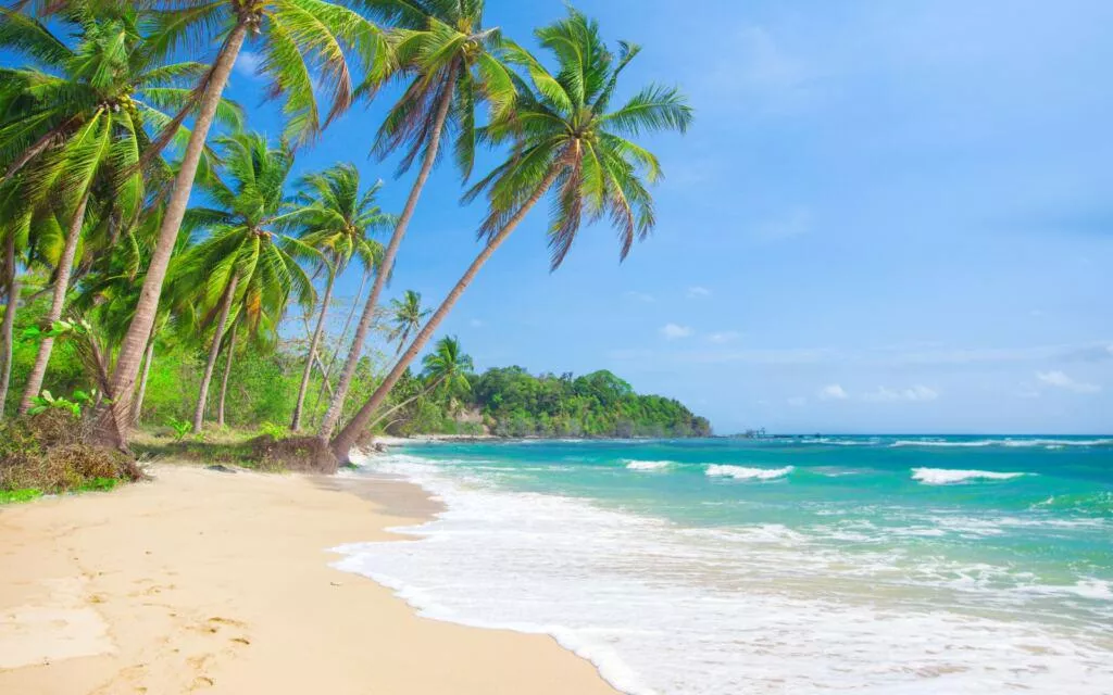 I'm just a beachy kind of person. posted by Sigma_Couple