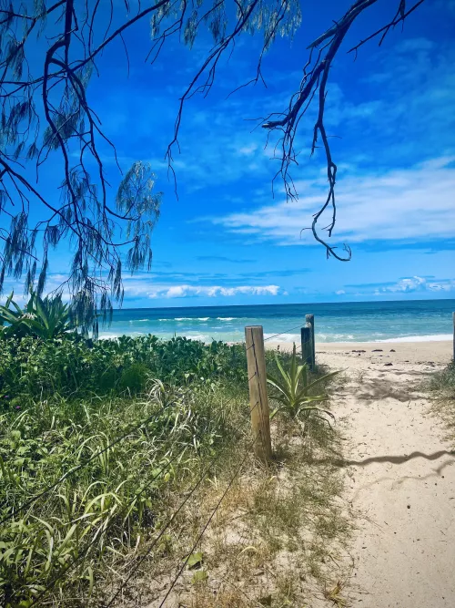 Sapphire Beach, Coffs Harbour, Australia 🇦🇺  by ClassyNug