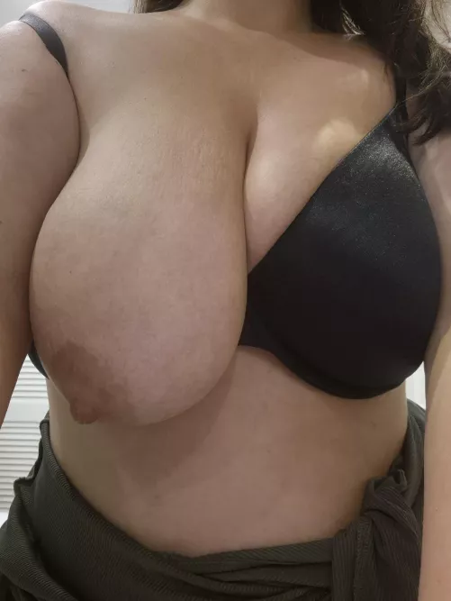 So huge and heavy.... would you latch on?  by Dry_Garden_2456