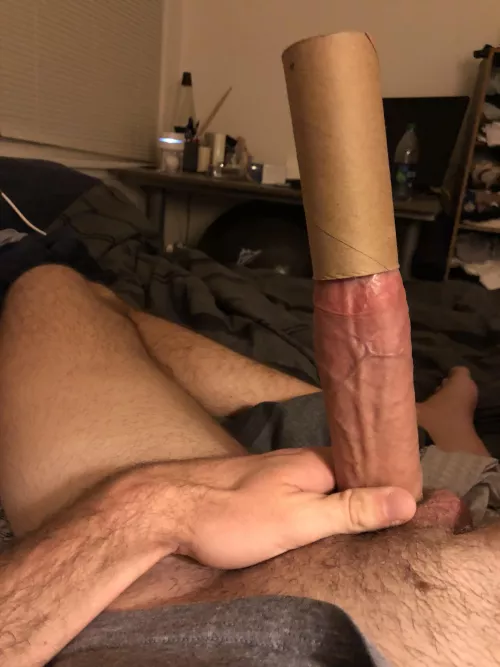 TP Tube Test by masondlong