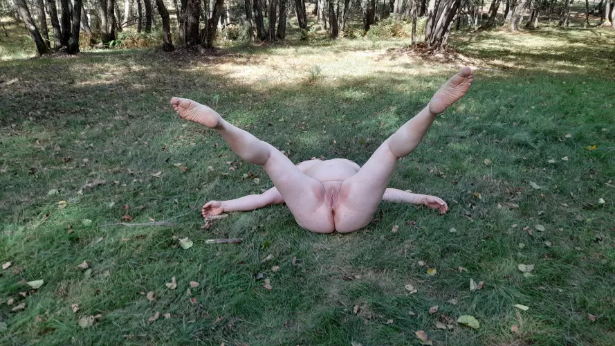 Wife forrest by Maleficent-Welcome96