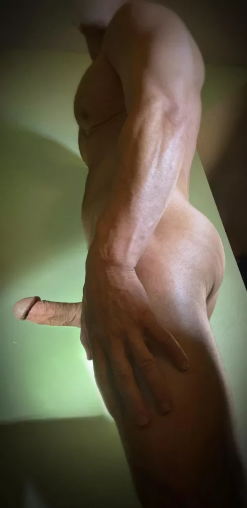 Are side views still popular ? by rareshepherd