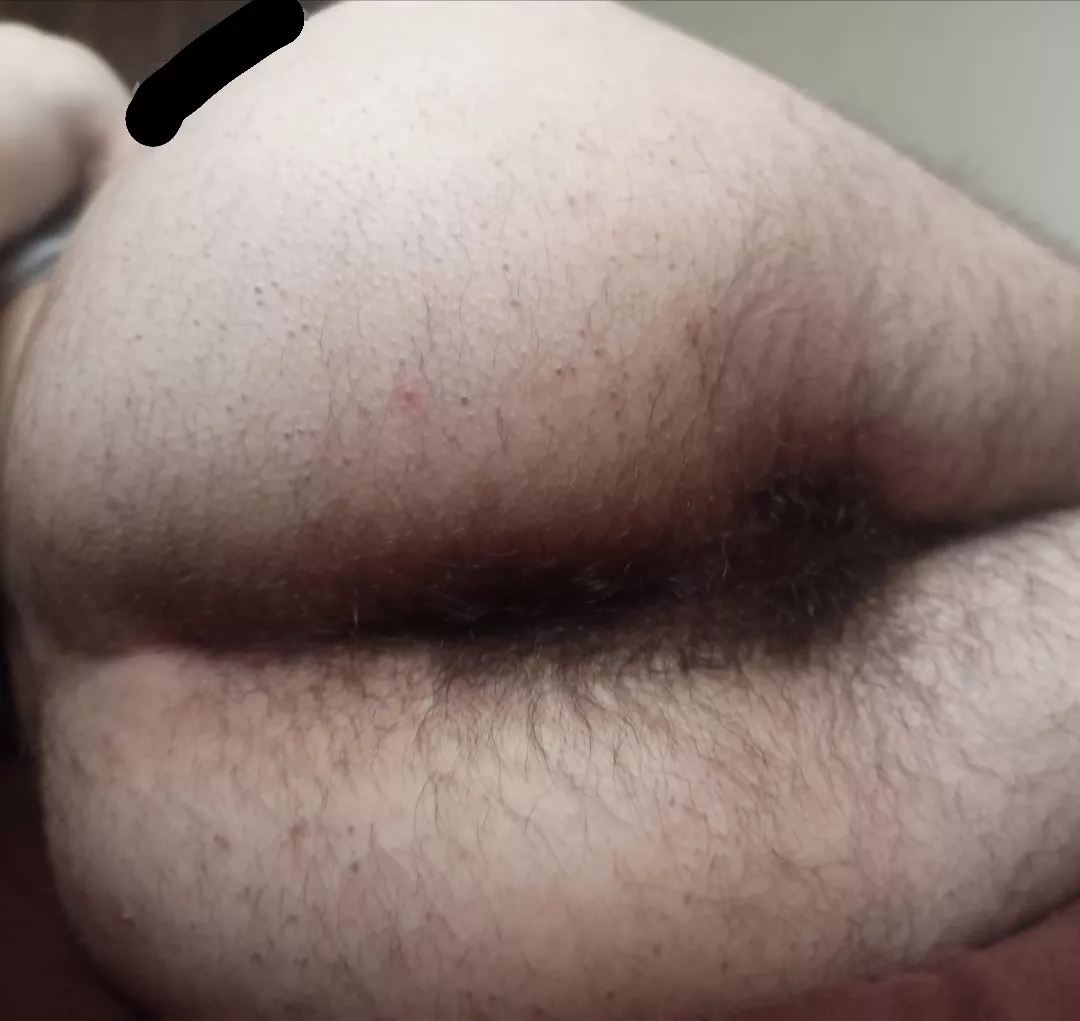 have you tried a hairy boypussy before?  posted by slutboy56