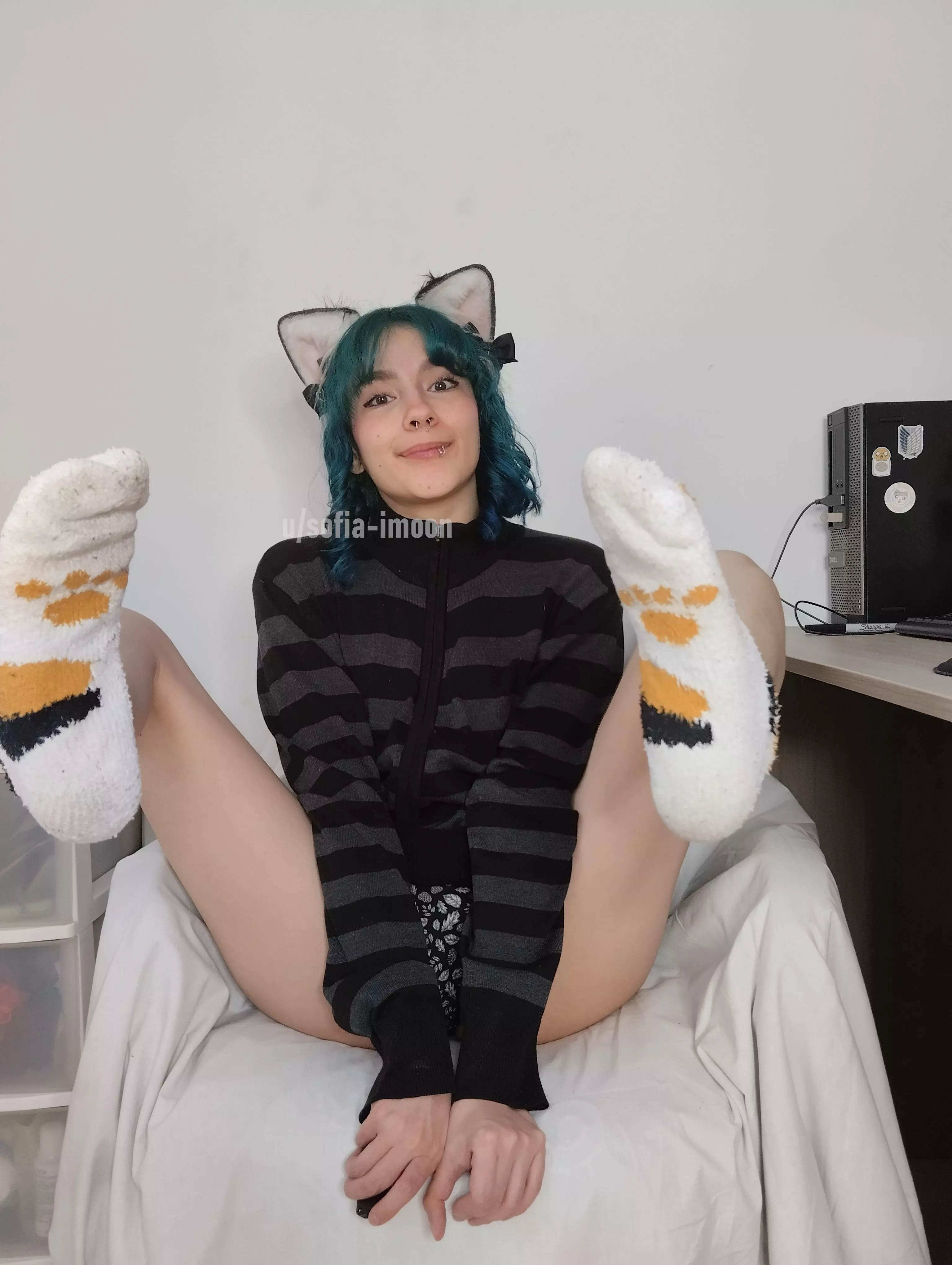 I want to play on your lap Master posted by sofia-imoon