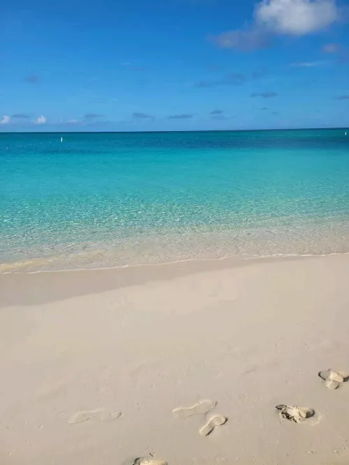 Paradise 💕 by ProcessSmooth3088