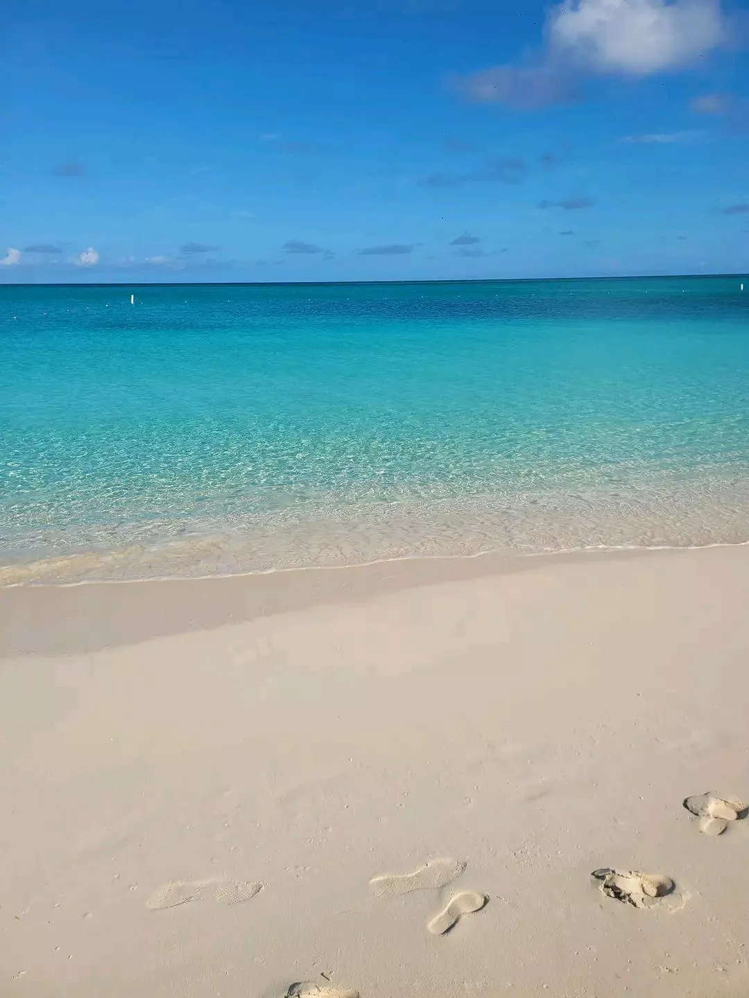 Paradise 💕 posted by ProcessSmooth3088