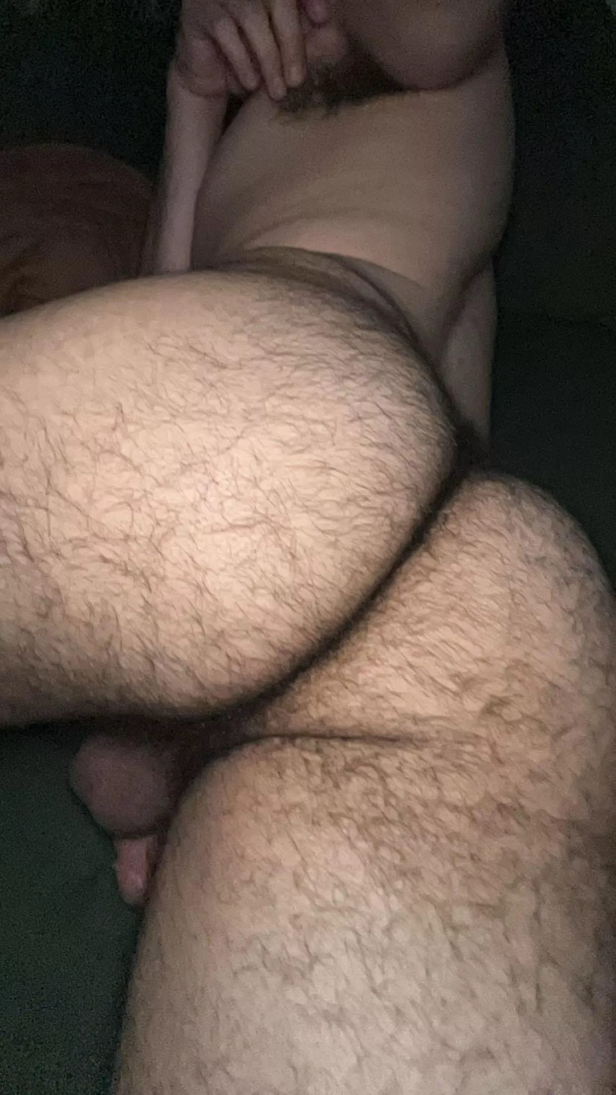 You like it hairy?  posted by AnonymousCain37