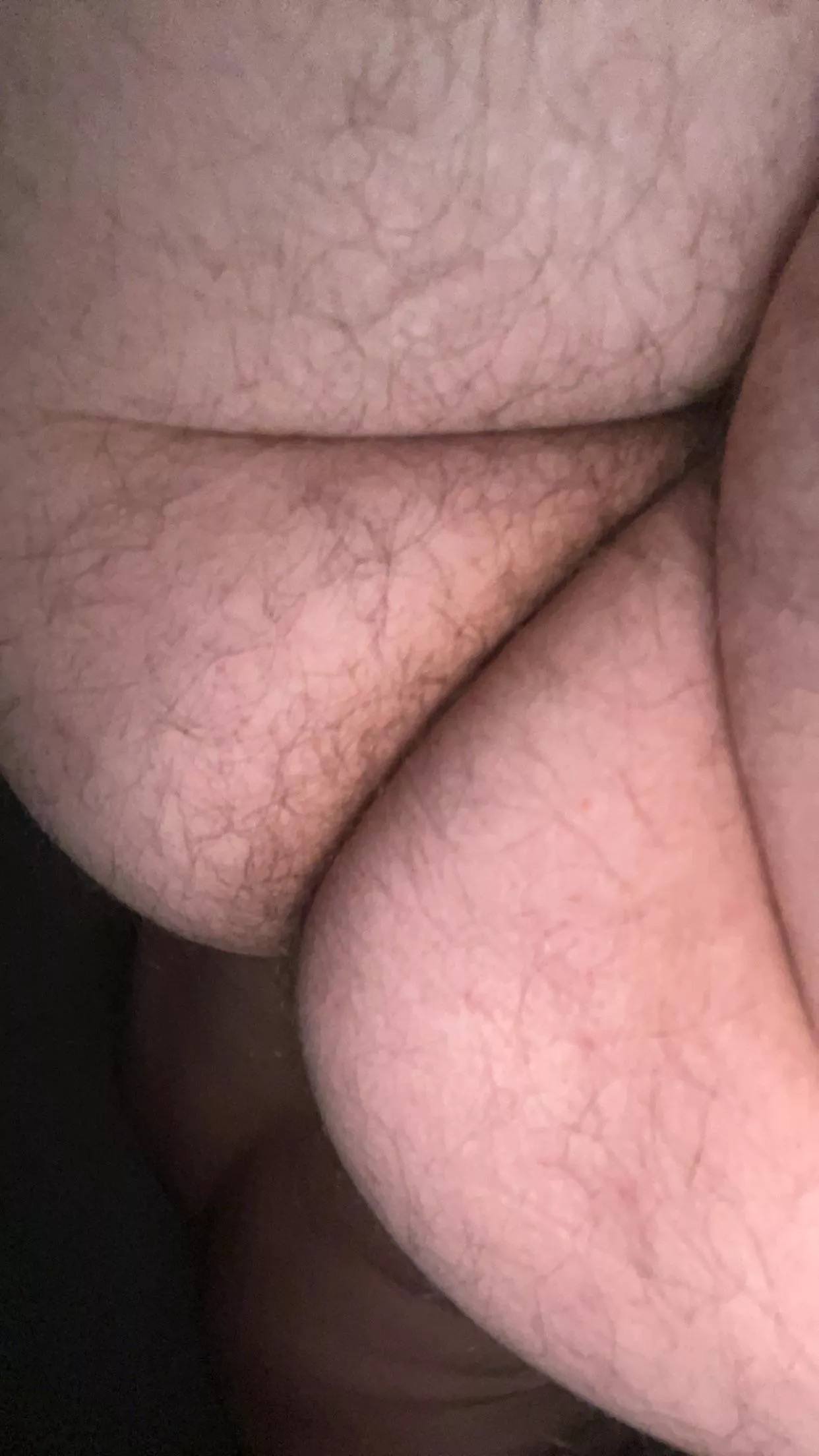 24 who wants to breed me? posted by Sluppi24