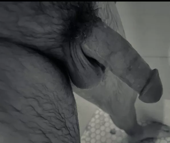 (45) and kinky by Unlikely_Visual_4692