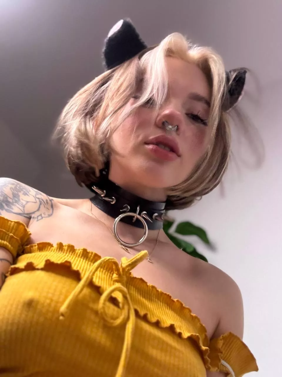 do you think I'll make a good kitty posted by HotnessAdorableQueen