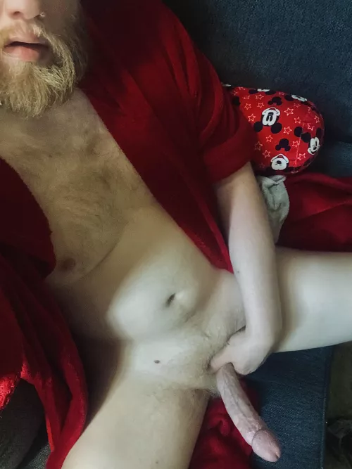 Do you want a fuzzy seat or a long and hard one? by Nakedman225678