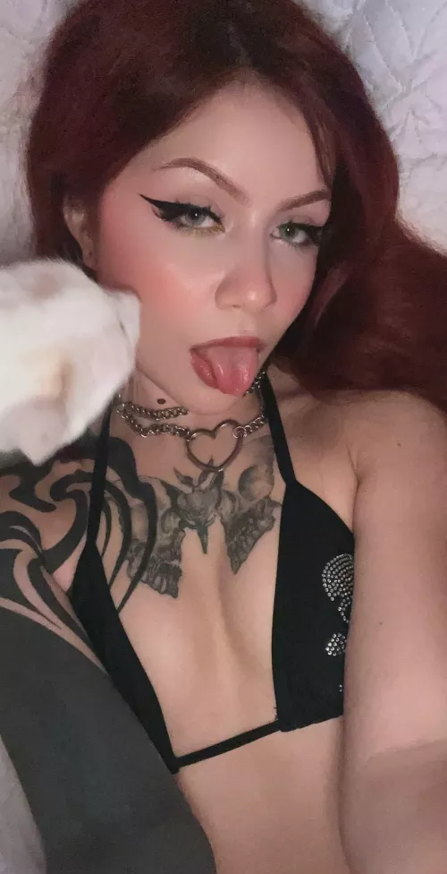 who's ur favourite band.. it'll determine if we're fucking by Rebel_Gingerx