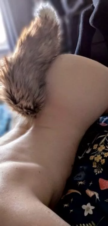 Do you like my new tail? posted by Eastern_Door1803
