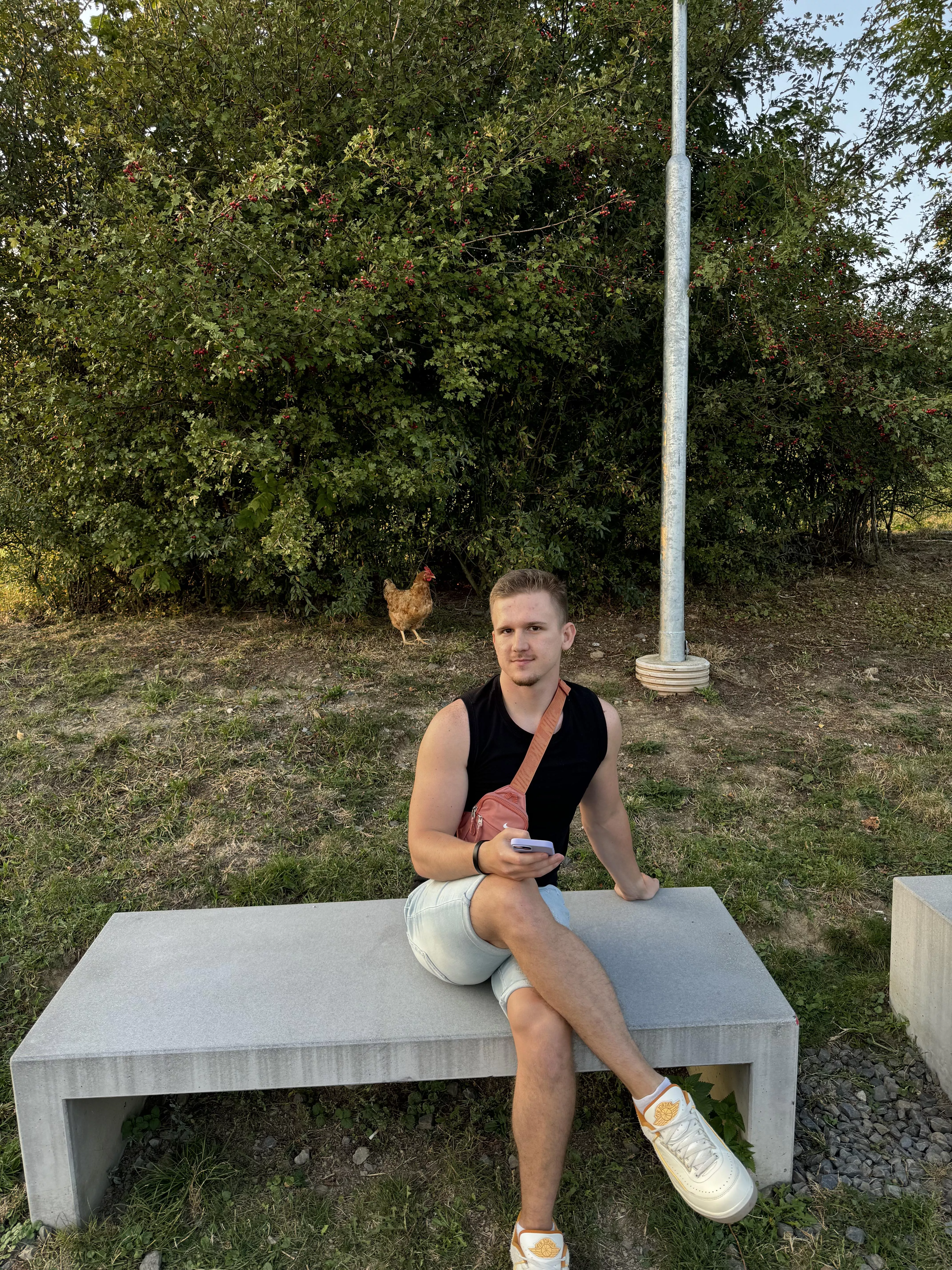 met a random chicken 🐓 posted by geminiconfessions