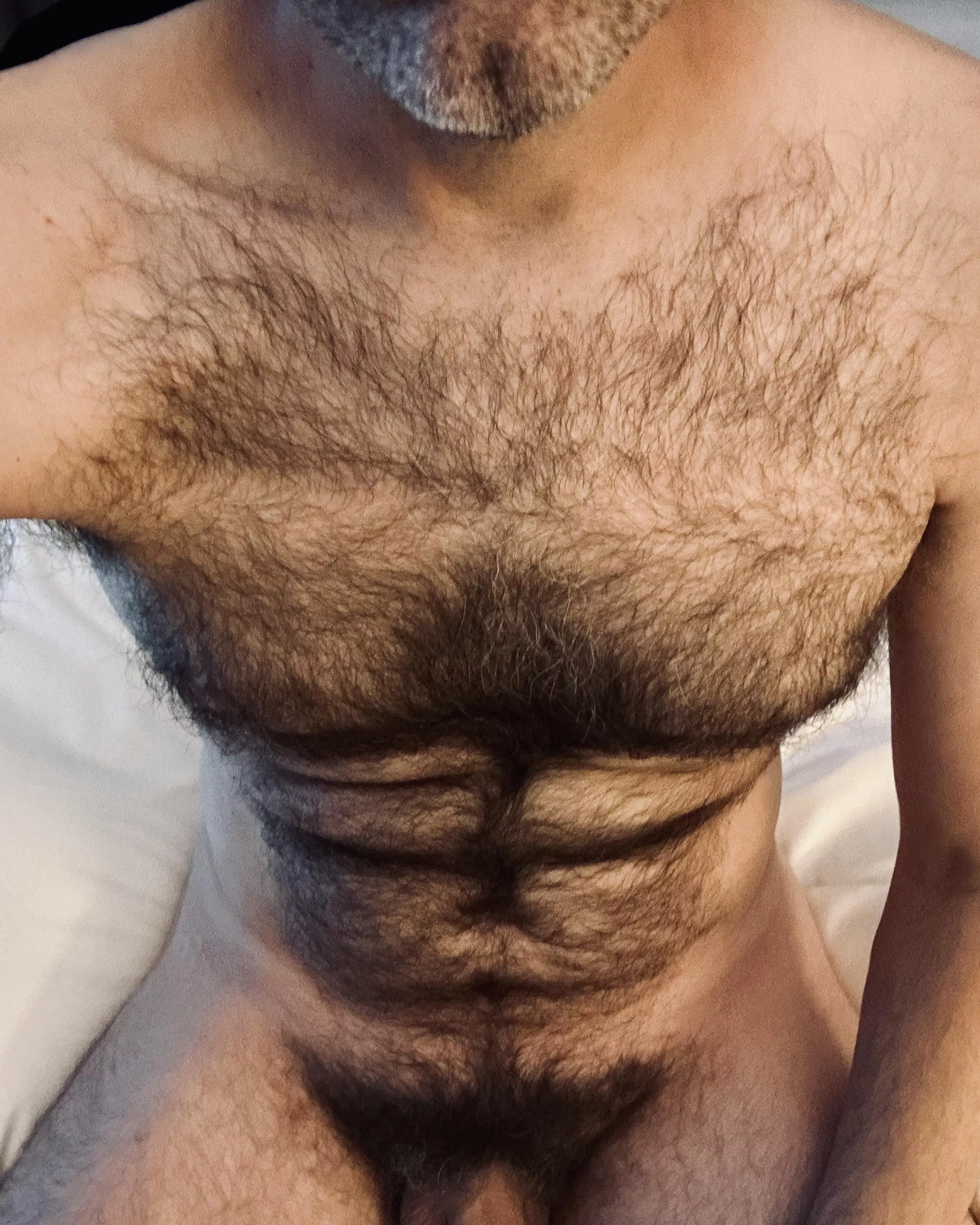 There's just hair everywhere... posted by jerseyjaxoff