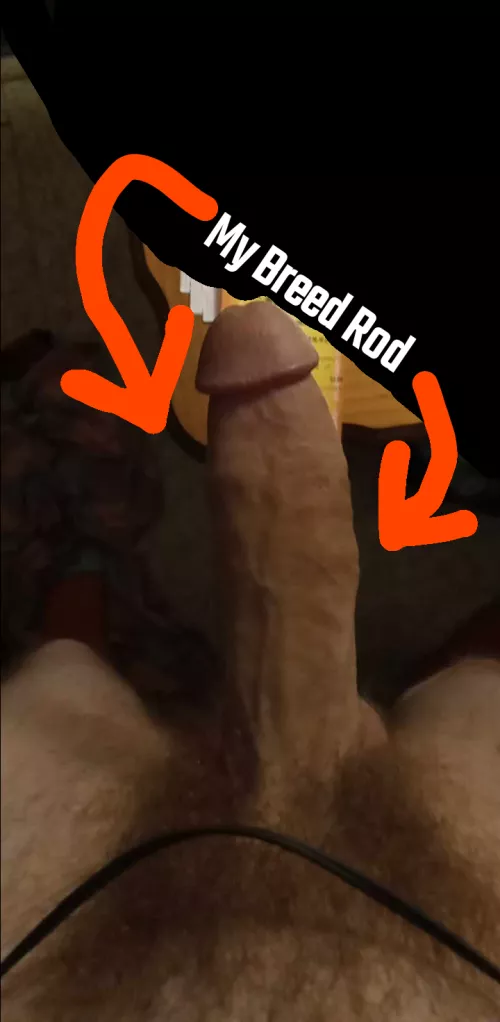 Use it  by ProfessionalHabit905