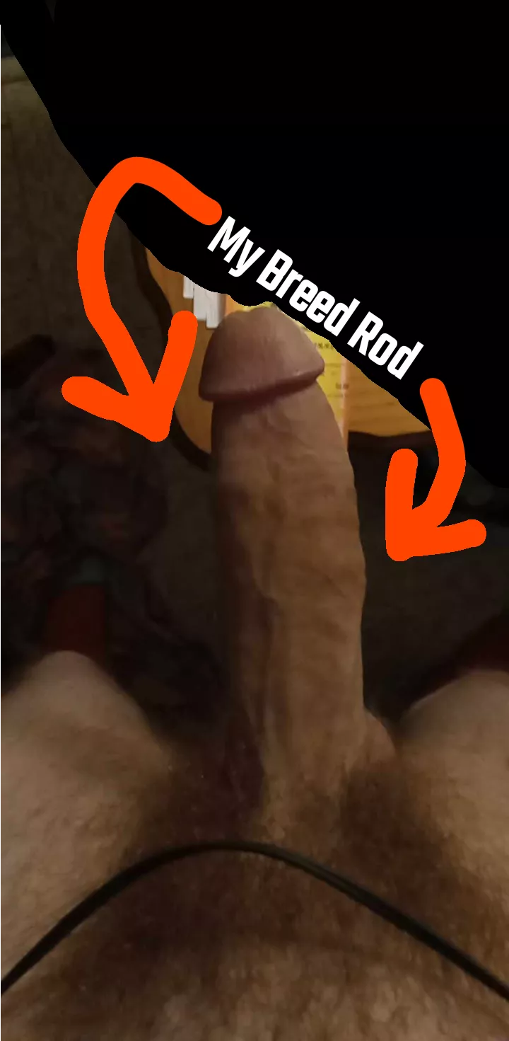 Use it  posted by ProfessionalHabit905