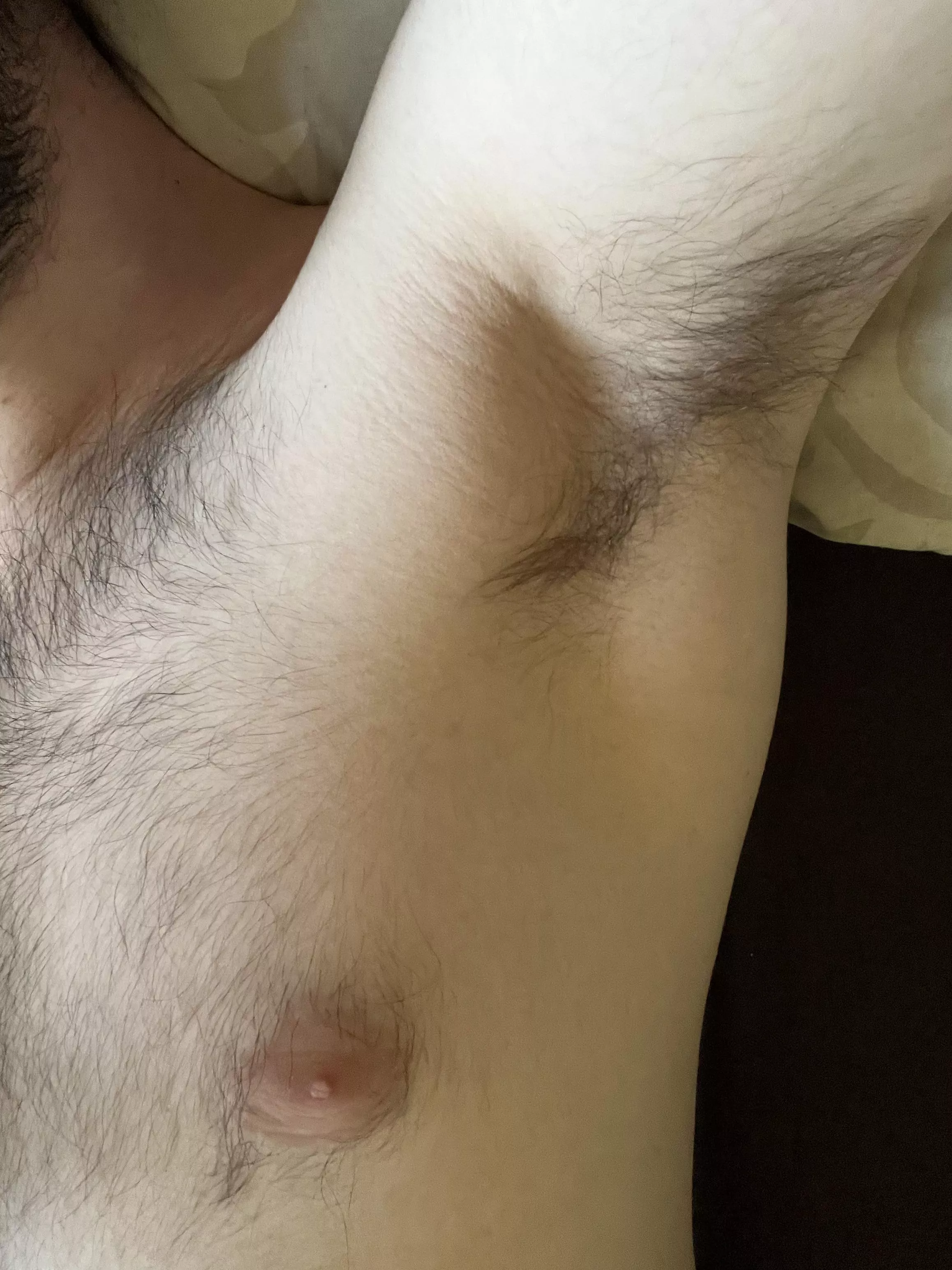 You like hairy musky alphas?💪🏼💦 Dms open😈 posted by HungYoungAlpha-