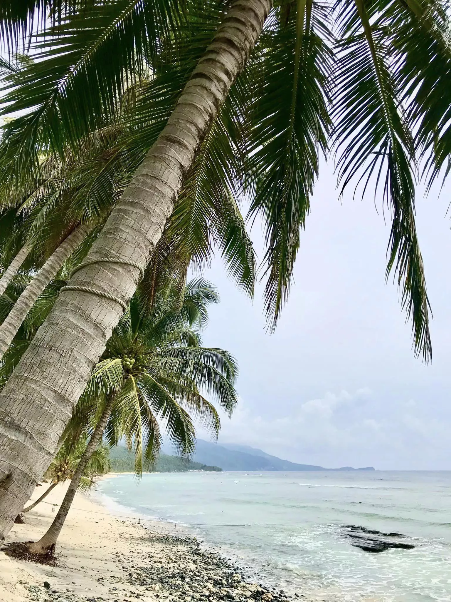 A perfect place to release the stress. posted by luvanimegirl