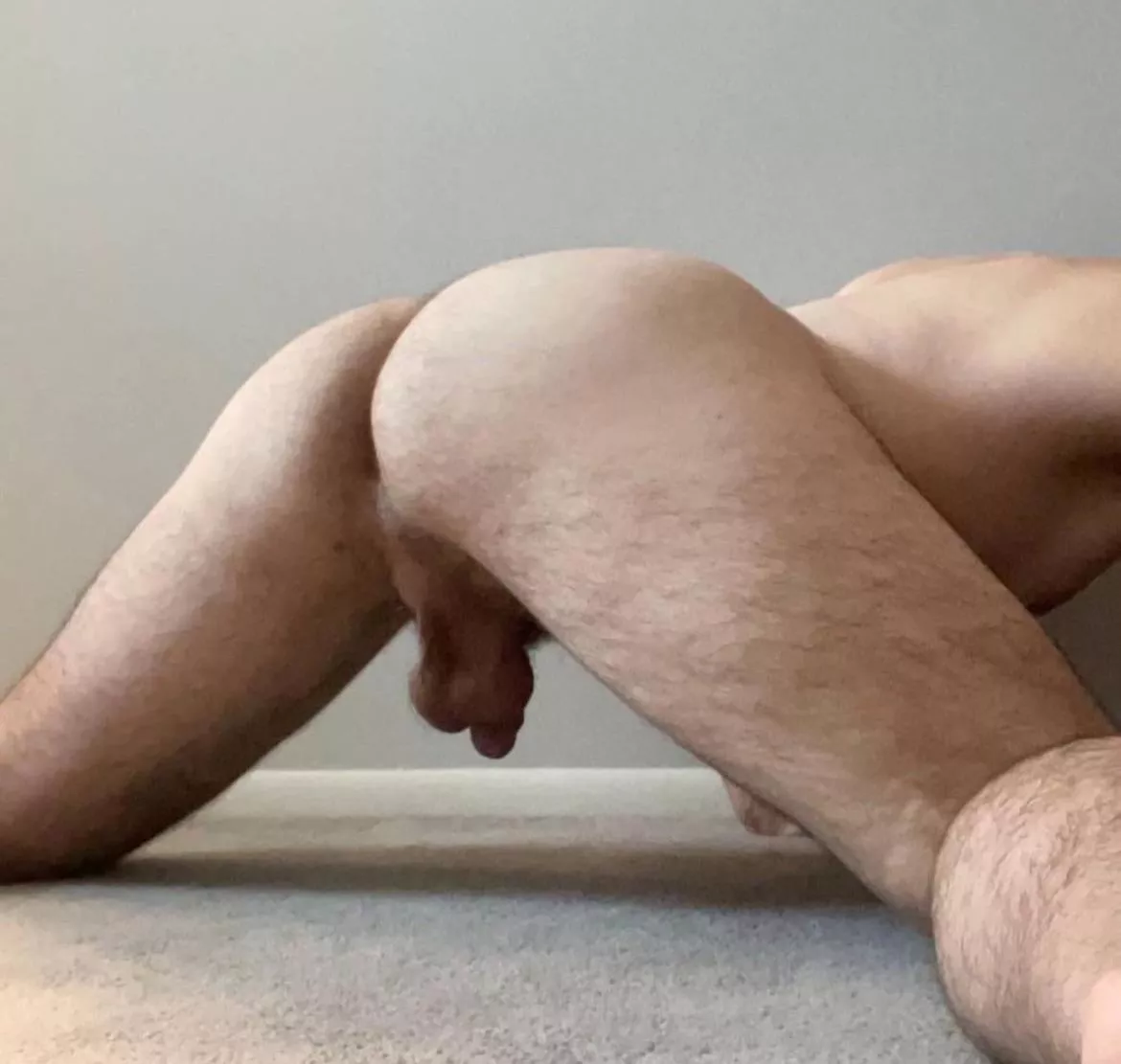 Always take it bareback. No questions asked 😈 posted by inevitablethroat2