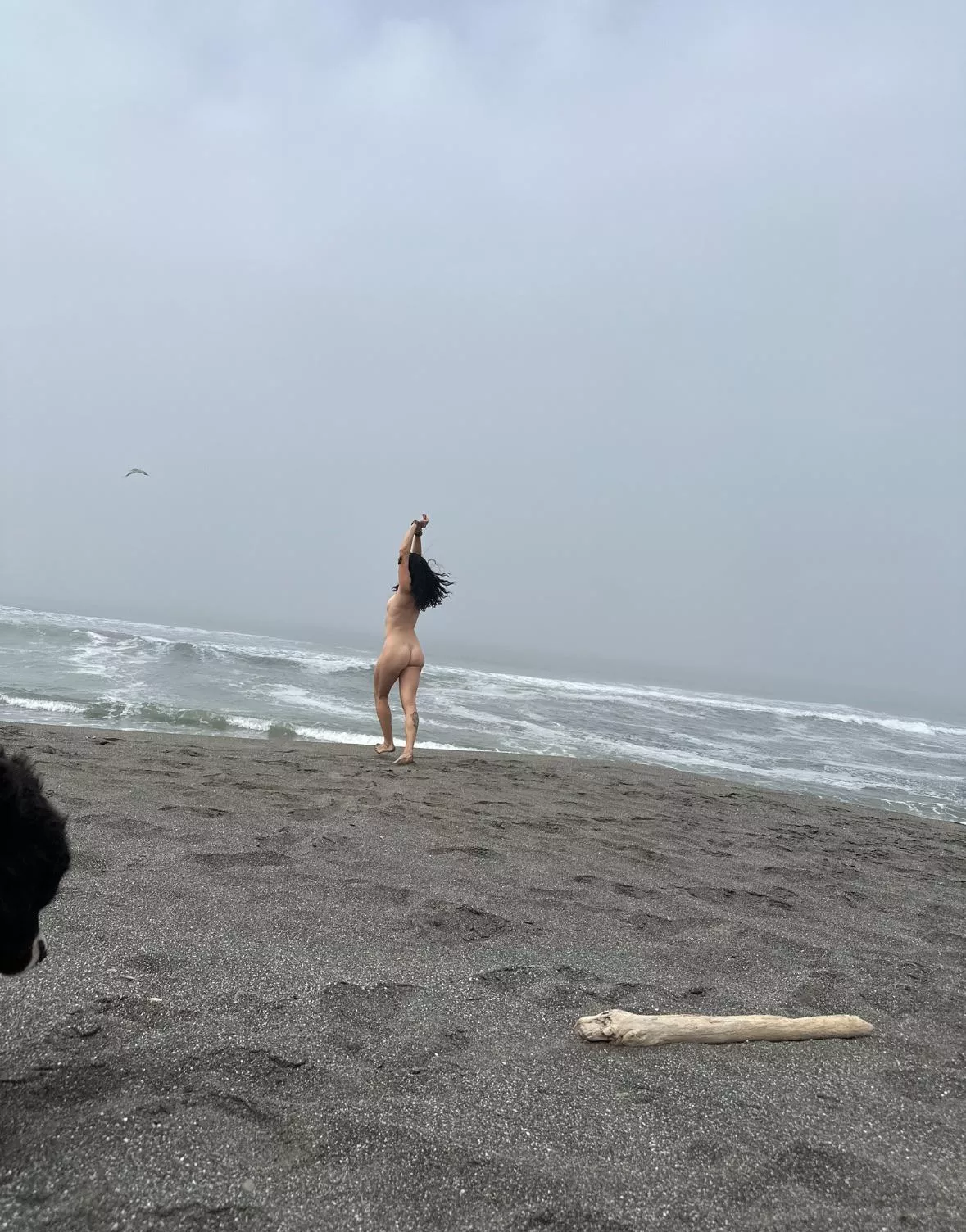 Catch me if you can posted by darcisky2