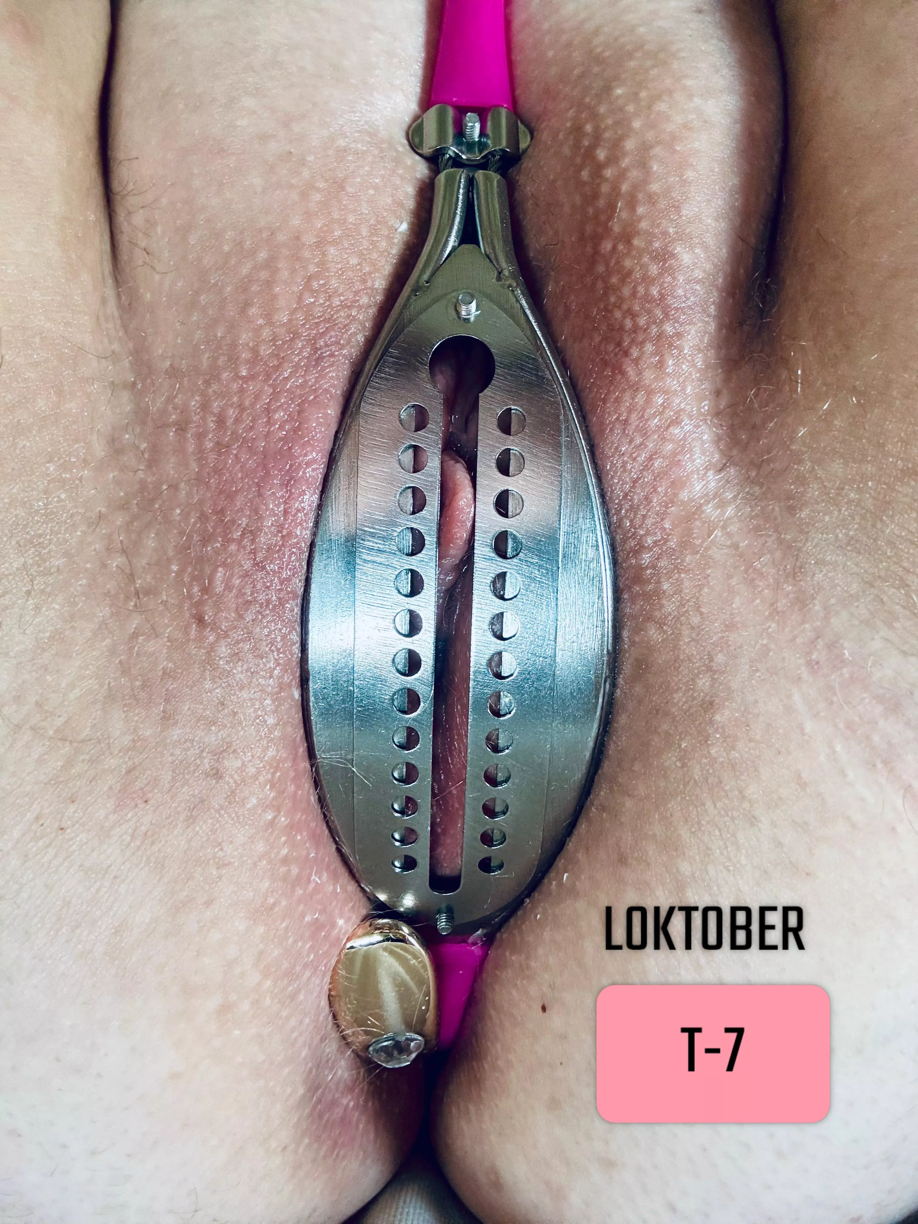 Countdown activated posted by MyChastityLife