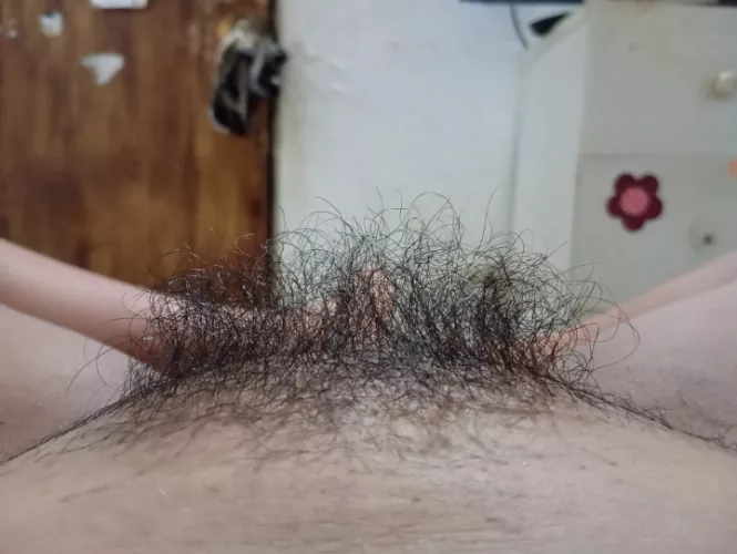 Creamy mound with bush  by lunalondonn