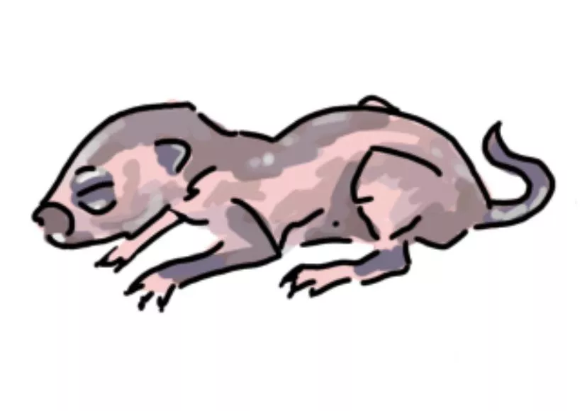 I draw peoples OC as newborn babies posted by Curtainsfly