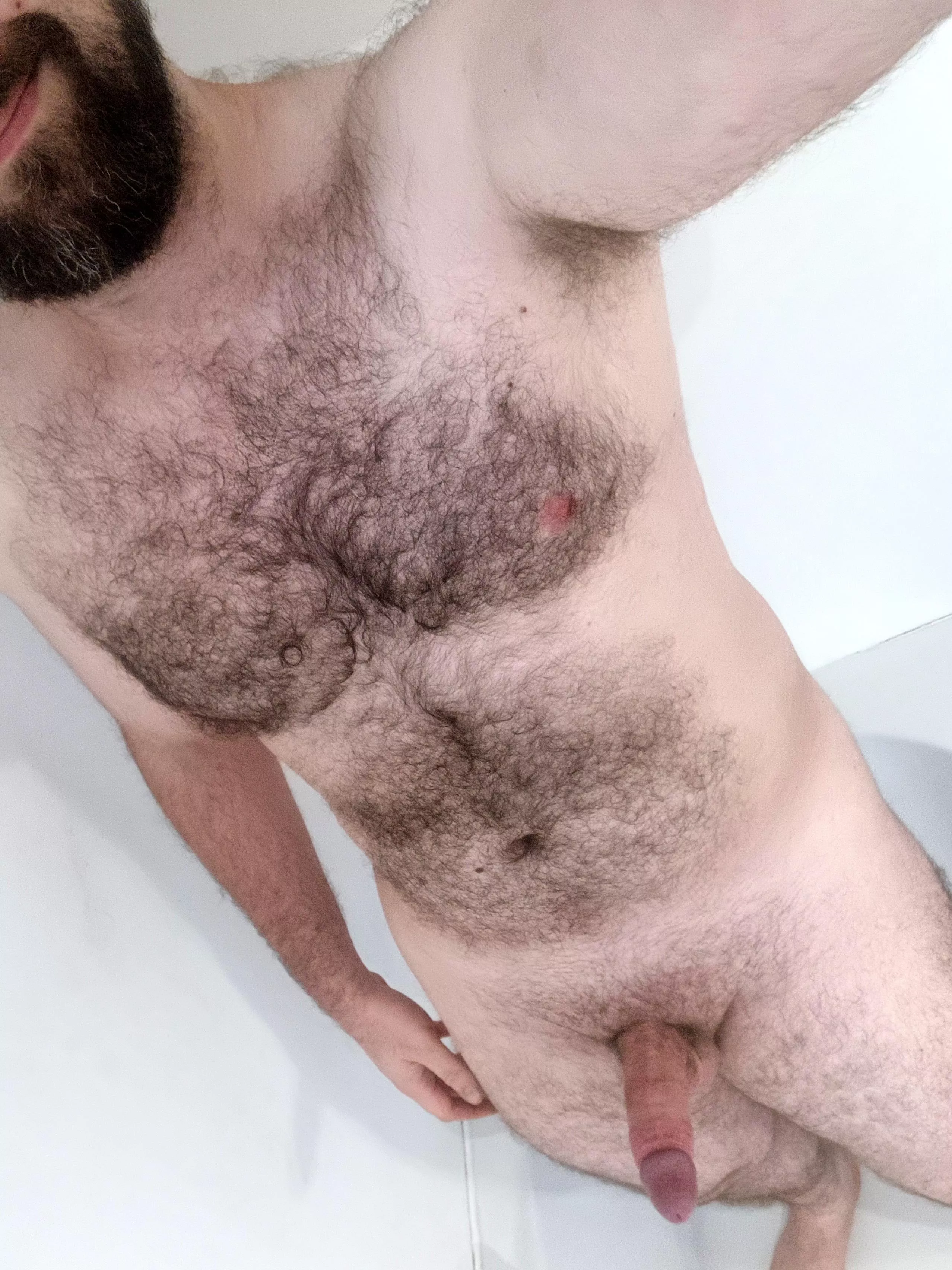 I may need some help 😇 posted by QuietAverageDude