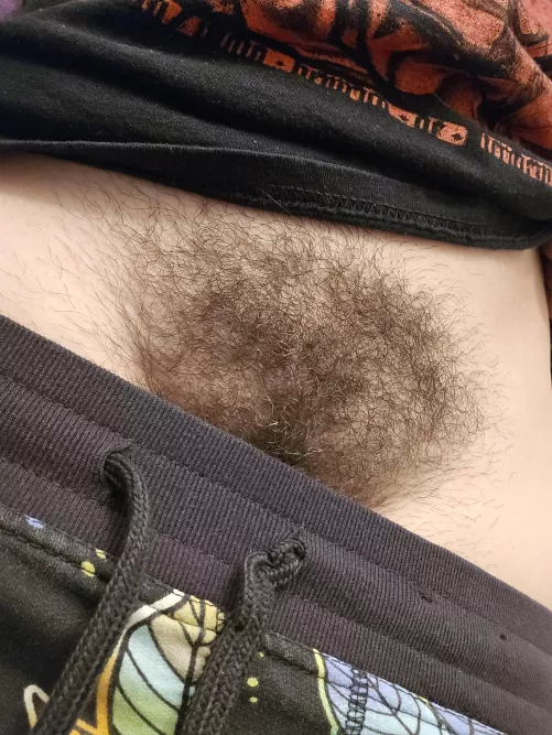 Is bigger better for bushes by electronicnotetaker