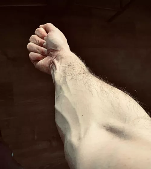 lil forearm flex  by Shyguy_4444