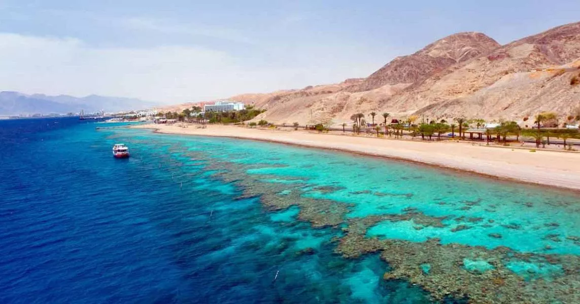 Magnificent nature in the Red Sea of ​​Egypt posted by rosymelanie