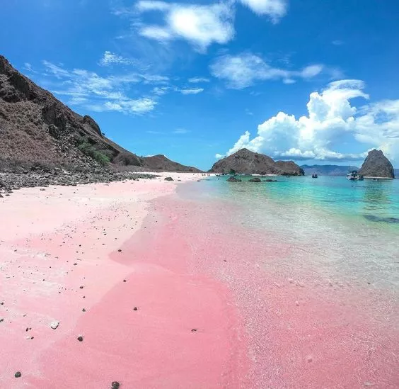 Pink beach. Samar Leyte😍



 posted by PaleLetter8603