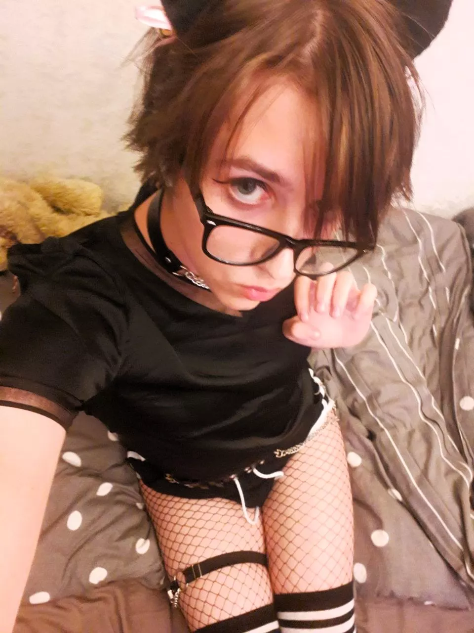 purrr posted by Cutie1703