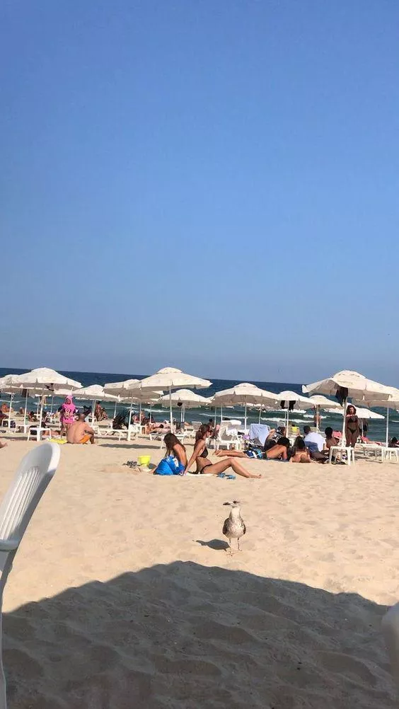 Sometimes we need to enjoy rest day go to beach look at bird posted by Happyliveafterlove