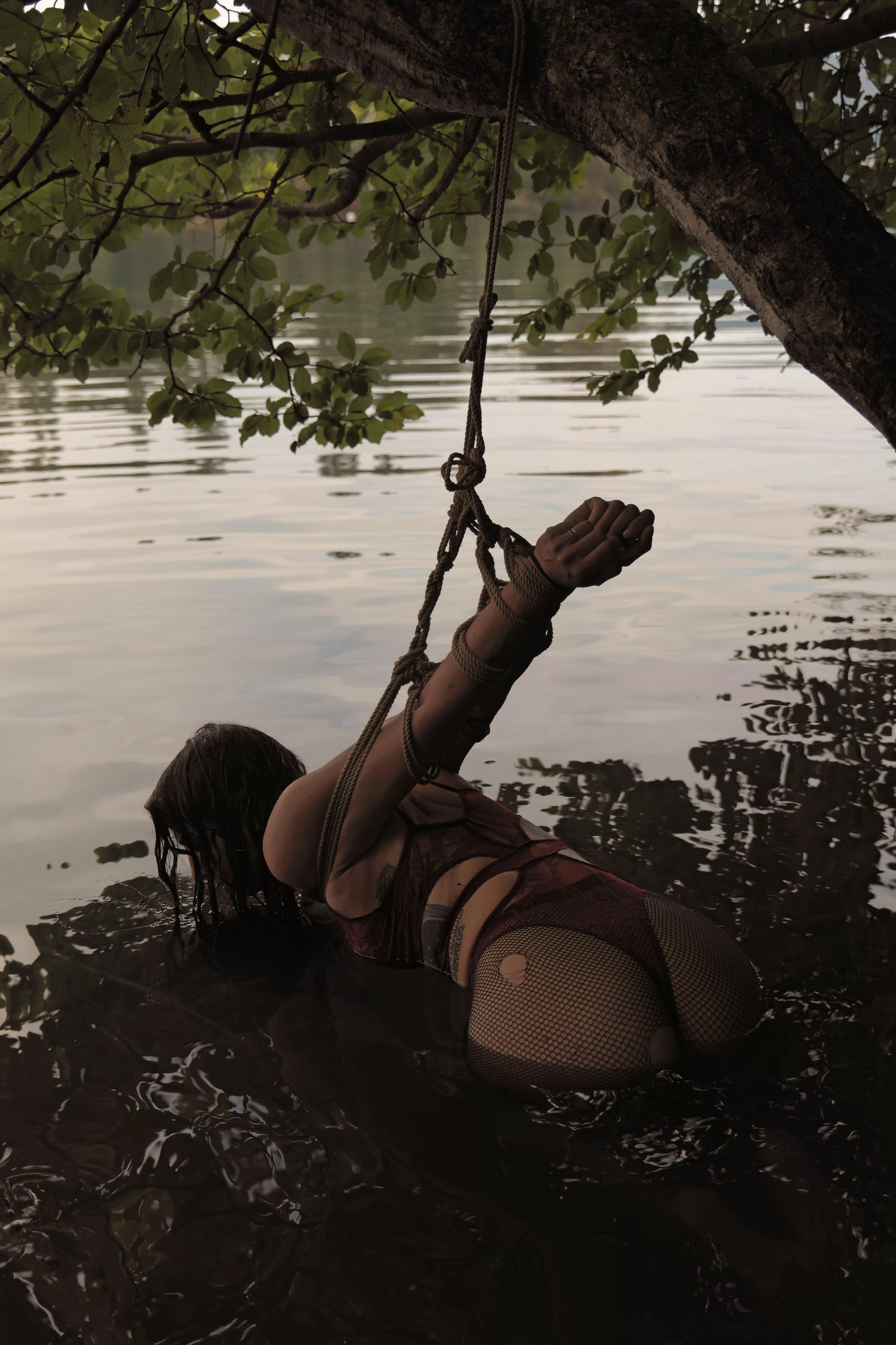 taste the water posted by semenawa