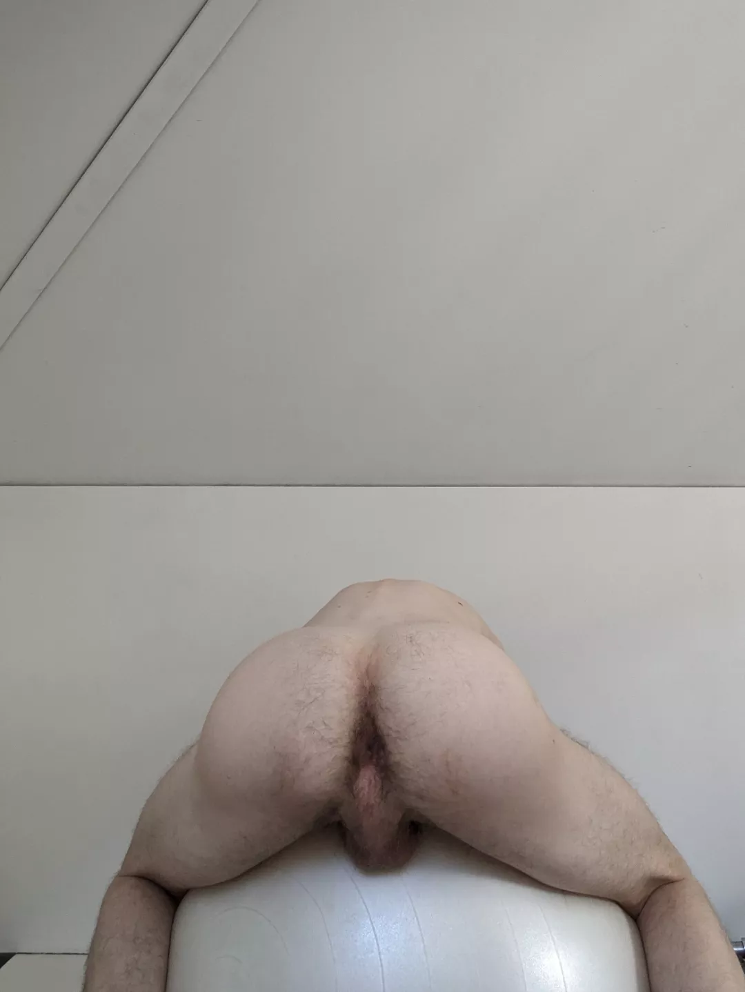 This is how to use a yoga ball right? posted by Which_Cryptographer6