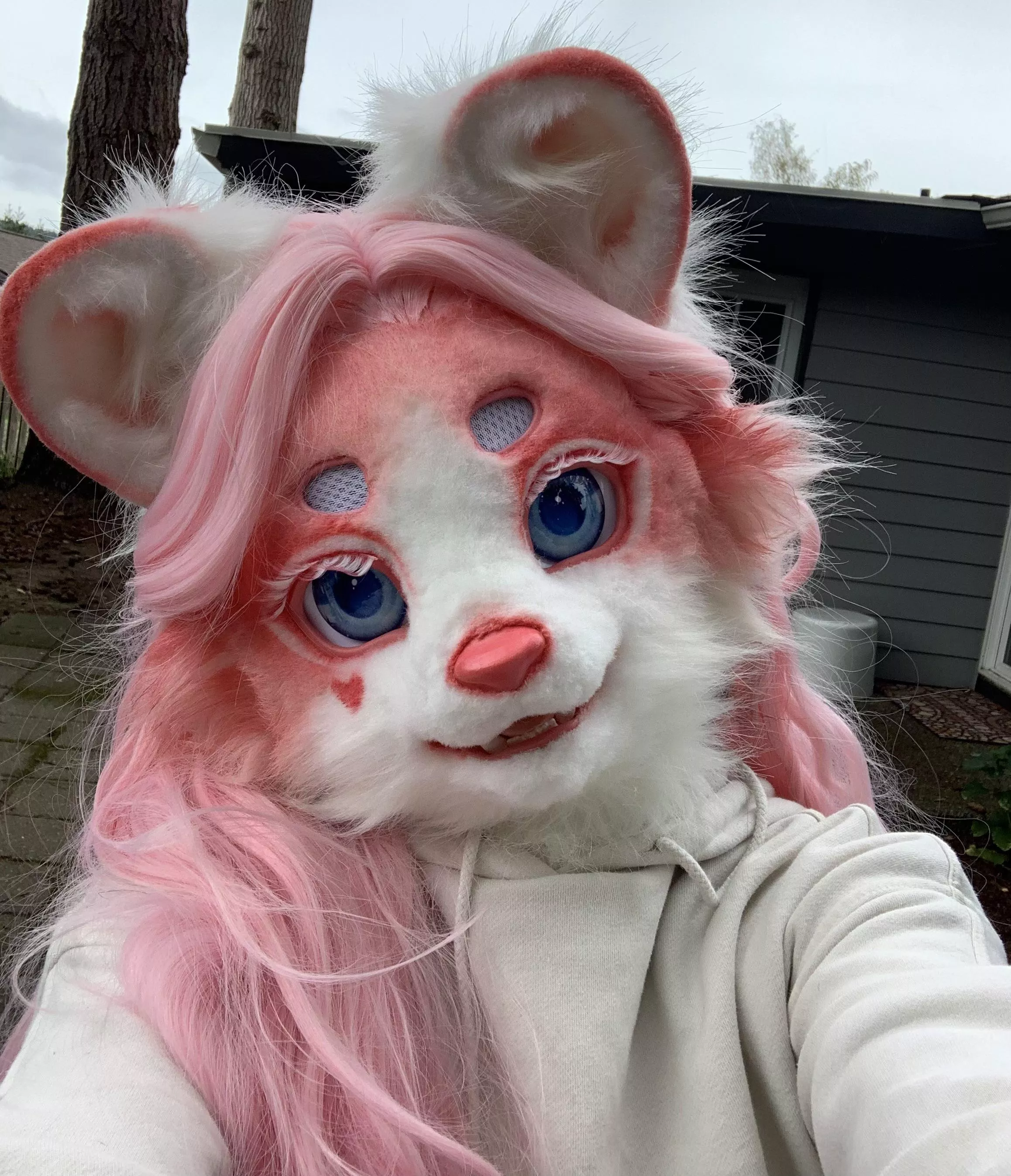 Lazy morning leopard 🐆💖 posted by Cambriangirl123