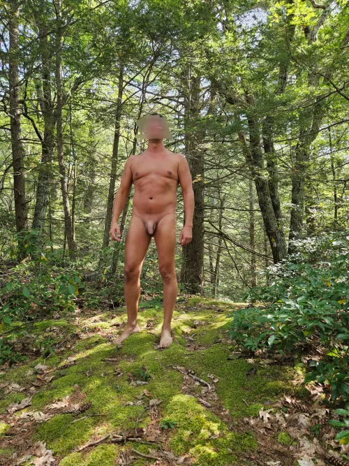 The moss was everything by MMLL1243