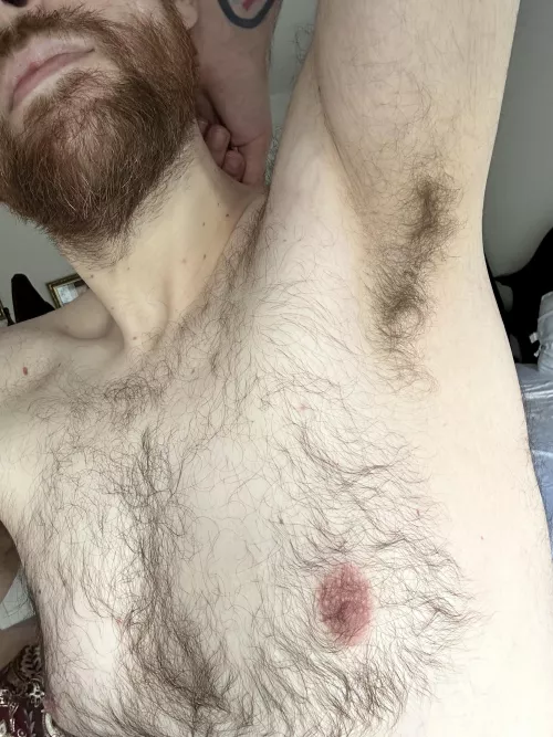 Want to sniff or want to taste? by NewMusician9921