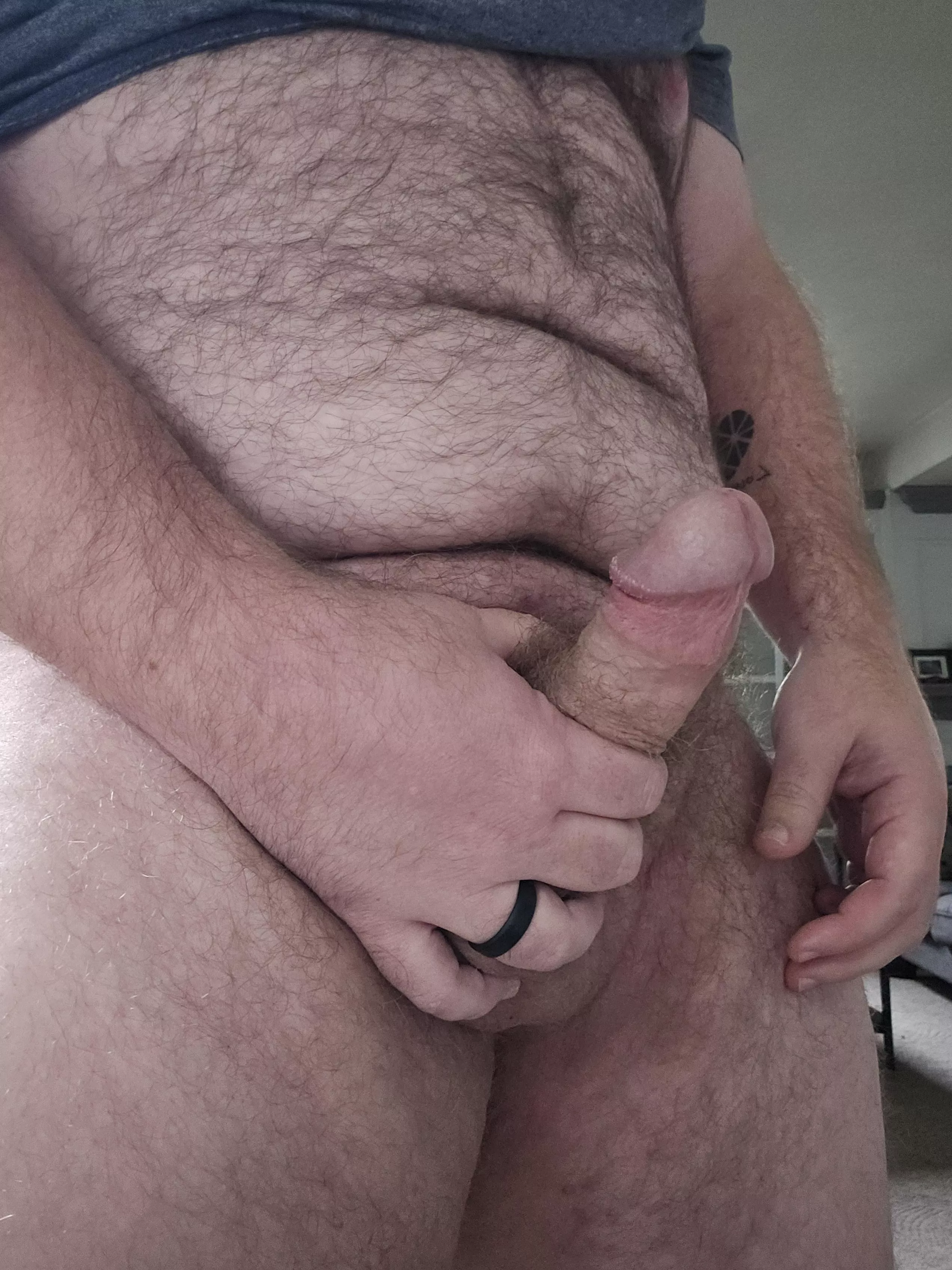 Would you be my play thing?  posted by breakfastpizza11