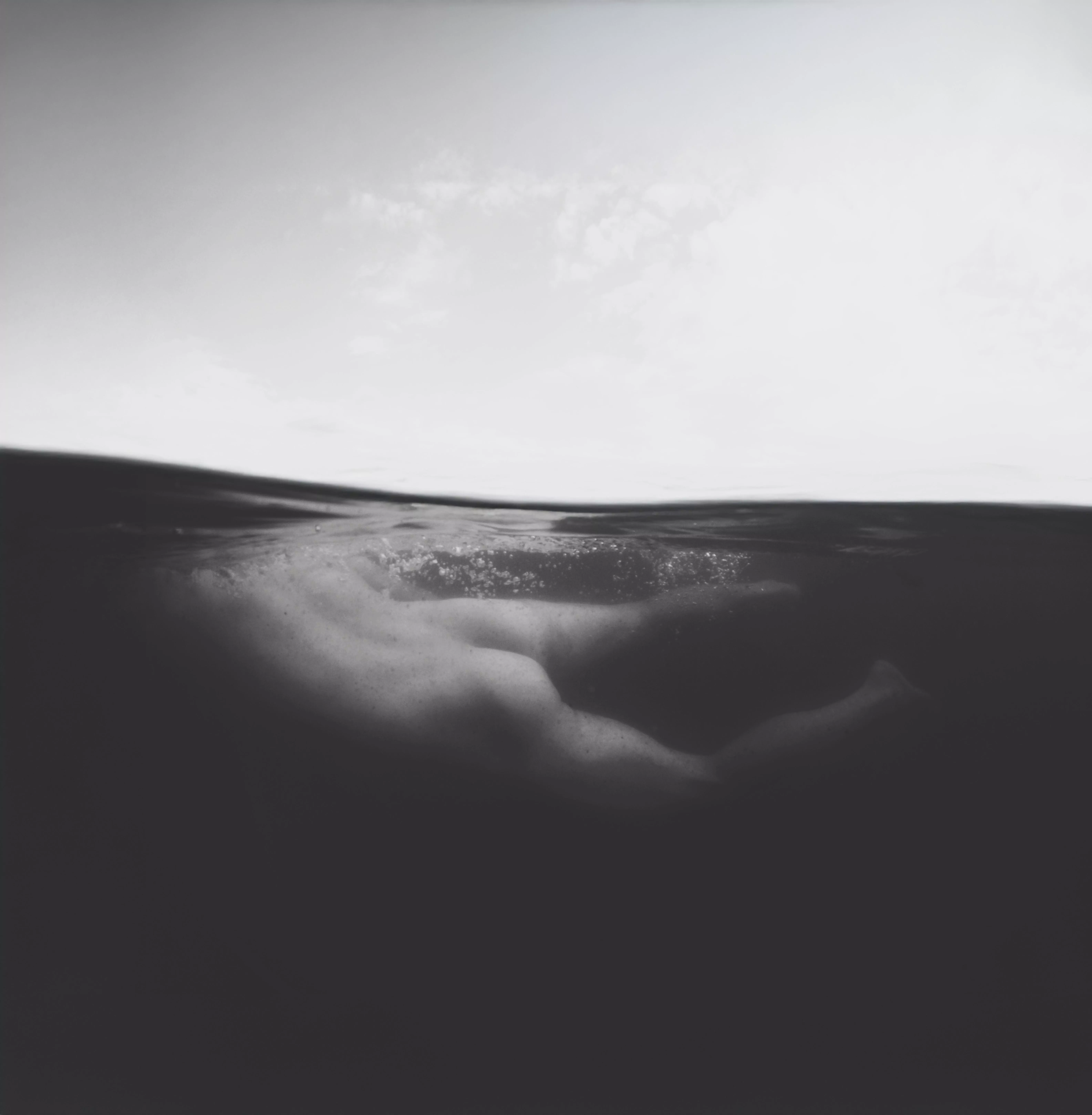 A swim in the lake  posted by saguaro1391