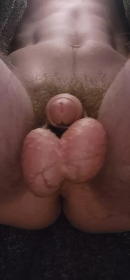 Inside my house coat  by CAB11222