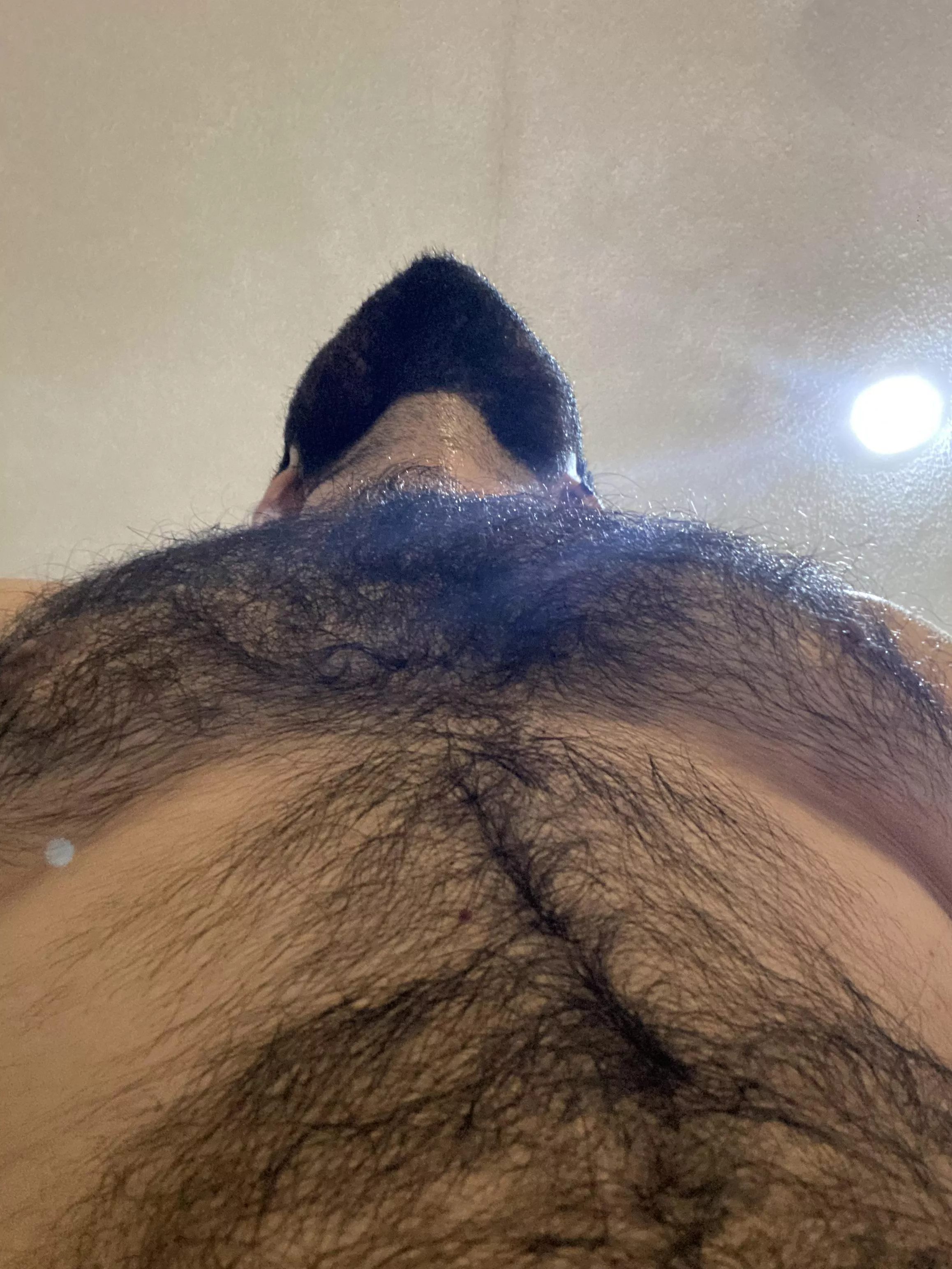 La jungla  posted by patoi91