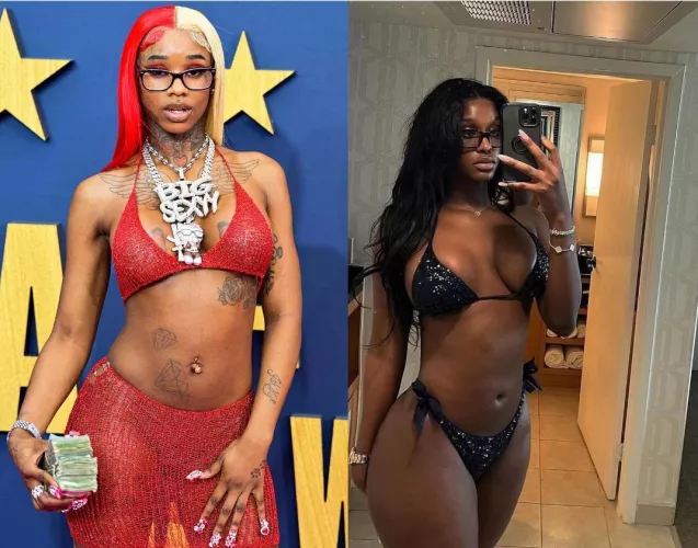 Sexyy Red vs. what she thinks she looks like  by herb150